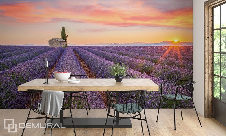 un champ de lavande a lhorizon papiers peints provence papiers peints demural