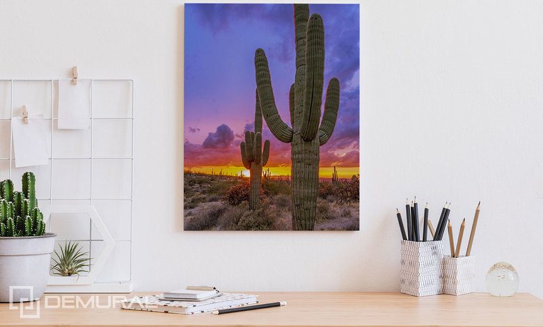 coucher de soleil sur la vallee des cactus tableaux pour bureau tableaux demural