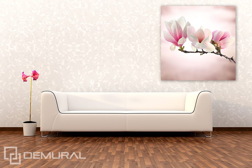 Magnolia en fleurs Posters Fleurs Affiches Demural