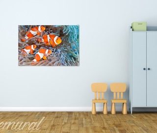 aquarium au mur tableaux pour chambre denfant tableaux demural