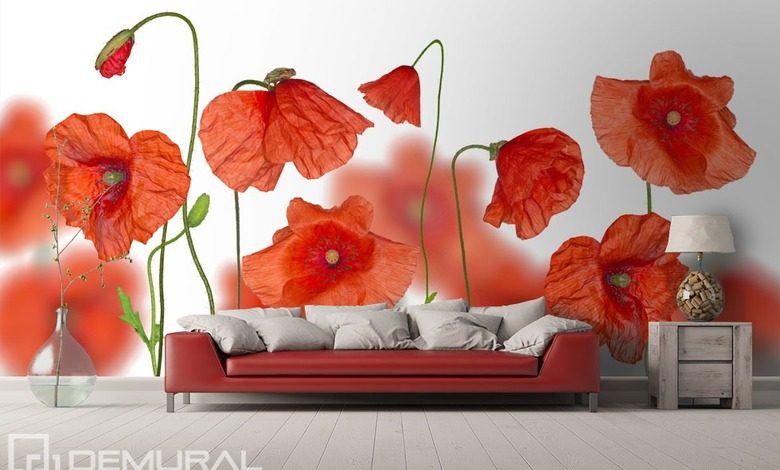 au milieu des coquelicots rouges papiers peints coquelicots papiers peints demural